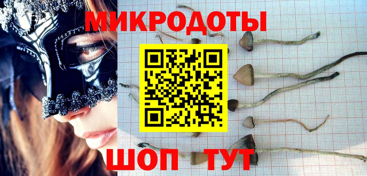 Галлюциногенные грибы ЛСД Хасавюрт