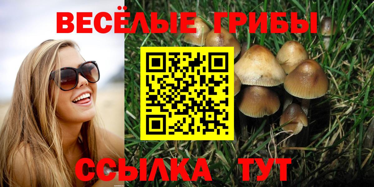 Хасавюрт  Псилоцибиновые грибы MAGIC MUSHROOMS  Вход с VPN 